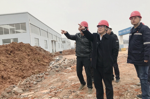 王大真到新材料公司、TPO項(xiàng)目現(xiàn)場和股份公司檢查工作(圖2)