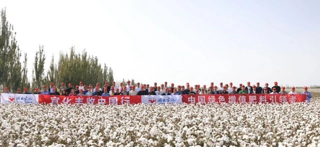 宜化豐收中國行！新疆棉花大型測產(chǎn)觀摩會(huì)成功舉行