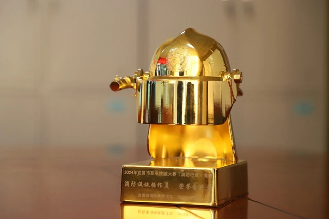 第一！股份公司鄢陽獲頒宜昌市消防設(shè)施操作員“榮譽金頭盔”(圖2)