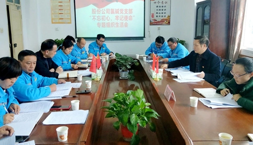 向宇飛列席指導(dǎo)股份公司氯堿黨支部“不忘初心、牢記使命”專題組織生活會