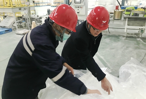 王大真到新材料公司、TPO項(xiàng)目現(xiàn)場(chǎng)和股份公司檢查工作